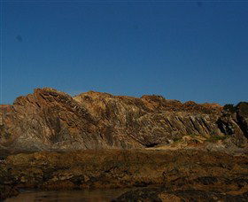 Batemans Bay Snorkelling Trail - Northern Rivers Accommodation 2