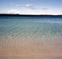 Hyams Beach trail - Northern Rivers Accommodation