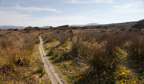 Murramarang Aboriginal Area Walking Track - Northern Rivers Accommodation 2
