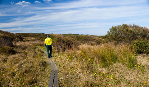 Murramarang Aboriginal Area Walking Track - Northern Rivers Accommodation 3
