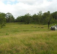 Numinbah Valley Adventure Trails - Northern Rivers Accommodation