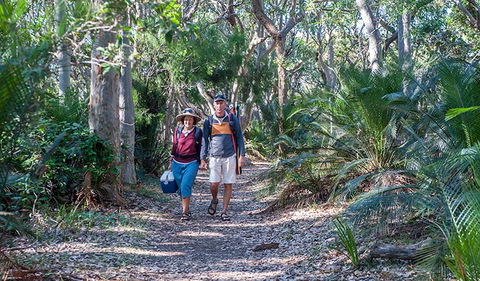 Myrtle Beach Walking Track - Northern Rivers Accommodation 0