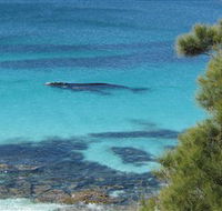 Jervis Bay Marine Park - Northern Rivers Accommodation