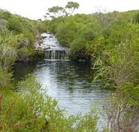 Booderee National Park Green Patch and Telegraph Creek Walking Tracks - Northern Rivers Accommodation