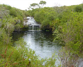 Booderee National Park: Green Patch And Telegraph Creek Walking Tracks - Northern Rivers Accommodation 0