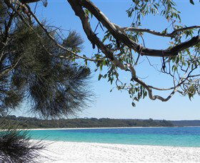 Booderee National Park: Green Patch And Telegraph Creek Walking Tracks - Northern Rivers Accommodation 6