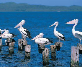 Walpole-Nornalup Inlets - Northern Rivers Accommodation 1