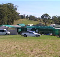 Tinonee Orchid Nursery - Northern Rivers Accommodation