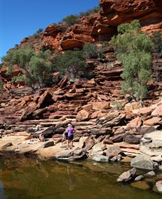 Inland Gorges - Northern Rivers Accommodation 2