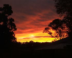 Tinonee Museum - Northern Rivers Accommodation 0