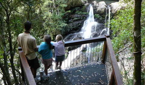 Bangalore Falls Walking Track - Northern Rivers Accommodation 1