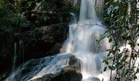 Bangalore Falls Walking Track - Northern Rivers Accommodation 3