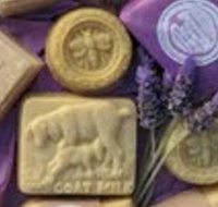 Honeycomb Valley Farm - Northern Rivers Accommodation