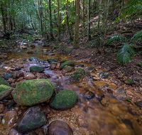 Starrs Creek picnic area - Northern Rivers Accommodation