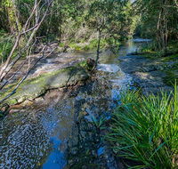 Dawson River walking track - Northern Rivers Accommodation