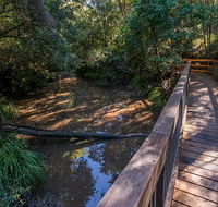 Ms Kellys walking track - Northern Rivers Accommodation