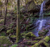 Coorabakh National Park - Northern Rivers Accommodation