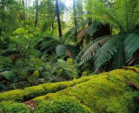 Combienbar VIC Northern Rivers Accommodation
