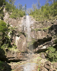 The Channon NSW Northern Rivers Accommodation