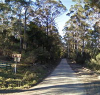 Box Cutting Rainforest Walk - Northern Rivers Accommodation