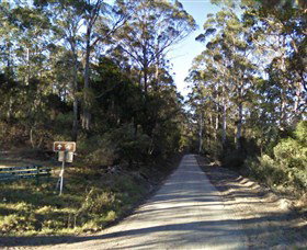 Box Cutting Rainforest Walk - Northern Rivers Accommodation 0