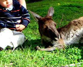 Bunbury Wildlife Park - Northern Rivers Accommodation 0