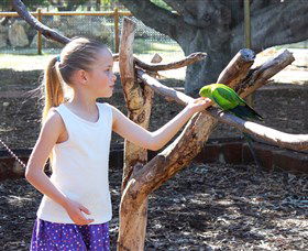 Bunbury Wildlife Park - Northern Rivers Accommodation 1