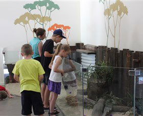 Bunbury Wildlife Park - Northern Rivers Accommodation 2