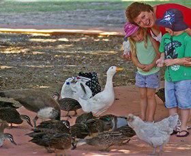 Bunbury Wildlife Park - Northern Rivers Accommodation 3