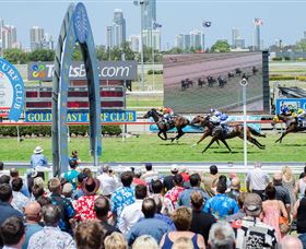 Gold Coast Turf Club - Northern Rivers Accommodation 0