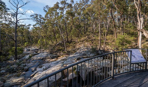 Myanba Gorge Walking Track - Northern Rivers Accommodation 0