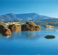 Wagonga Picnic Area - Northern Rivers Accommodation