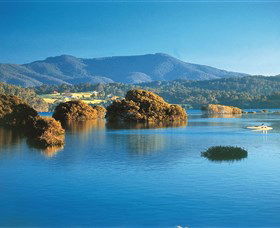 Wagonga Picnic Area - Northern Rivers Accommodation 0