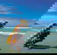 Diamond Beach - Northern Rivers Accommodation