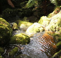 South East Forests National Park - Northern Rivers Accommodation