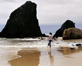 Glasshouse Rocks And Pillow Lava - Northern Rivers Accommodation 1