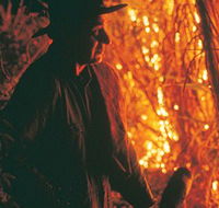 The Shed Gallery - Northern Rivers Accommodation