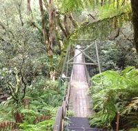 Bemm River Scenic Reserve - Northern Rivers Accommodation