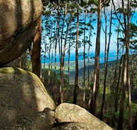 Mount Gulaga Mount Dromedary Walk - Northern Rivers Accommodation