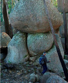 Mount Gulaga (Mount Dromedary) Walk - Northern Rivers Accommodation 1