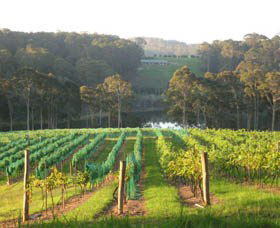 Bellbird Scenic Drive Tilba - Northern Rivers Accommodation 3