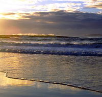 Handkerchief Beach Picnic Area - Northern Rivers Accommodation