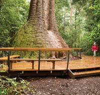 Burrawan State Forest - Northern Rivers Accommodation