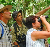 Falls walking track - Northern Rivers Accommodation