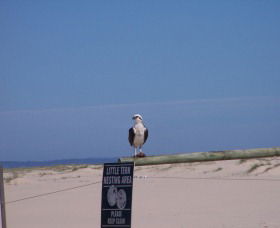 Manning Entrance State Park - Northern Rivers Accommodation 1