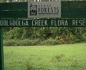 Woolgoolga Creek Flora Reserve - Northern Rivers Accommodation 0