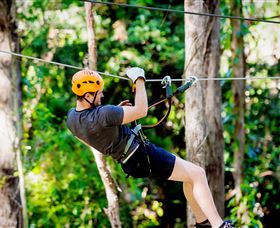 TreeTop Challenge Currumbin - Northern Rivers Accommodation 0
