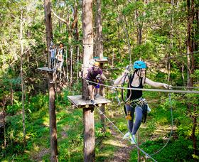 TreeTop Challenge Currumbin - Northern Rivers Accommodation 1