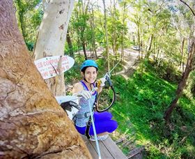 TreeTop Challenge Currumbin - Northern Rivers Accommodation 3
