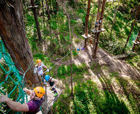 TreeTop Challenge Currumbin - Northern Rivers Accommodation 2
